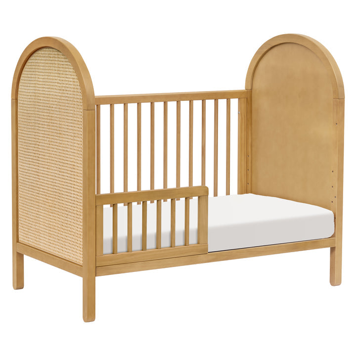 Babyletto Bondi Cane 3-in-1 Convertible Crib