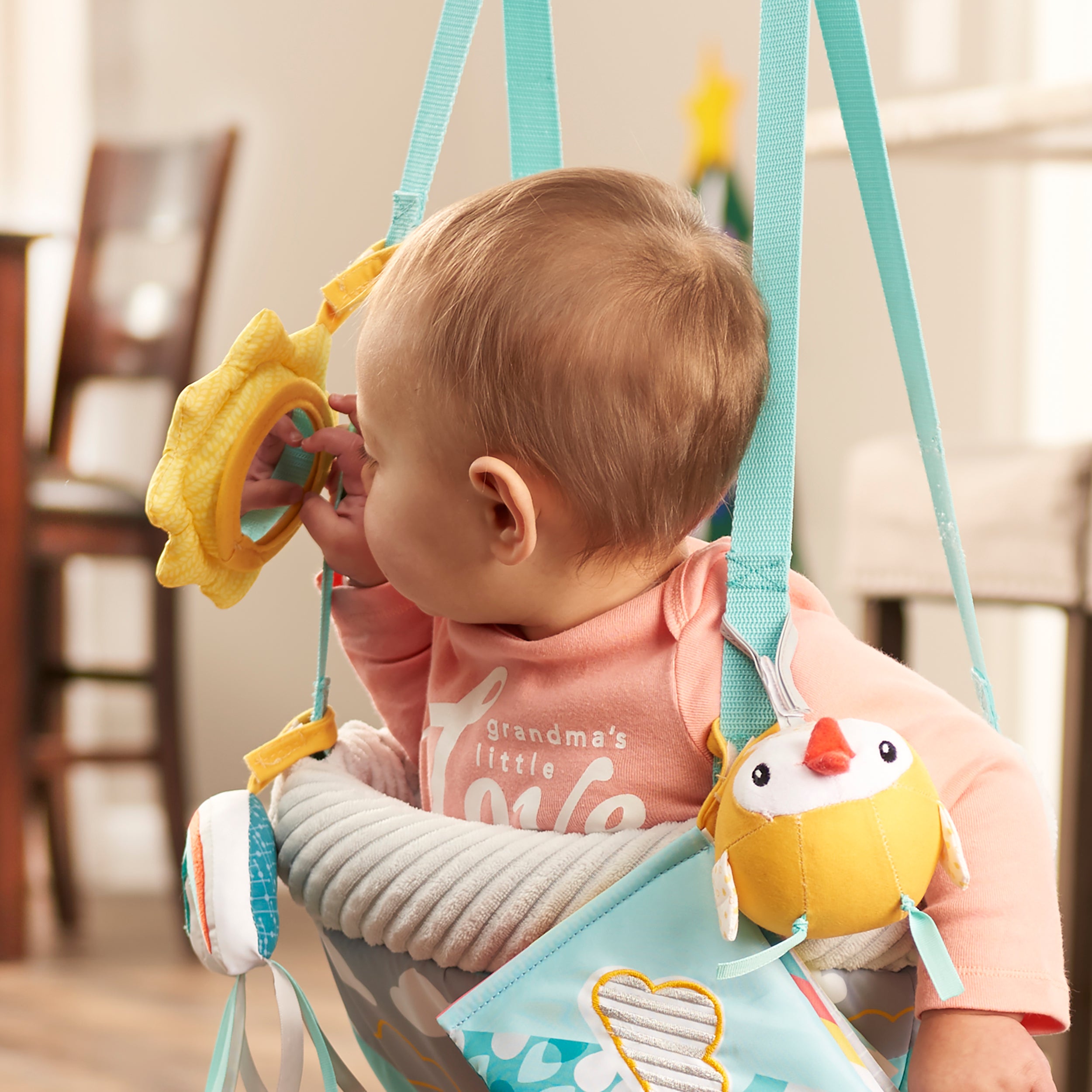 Evenflo ExerSaucer Door Jumper