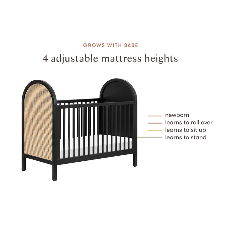 Babyletto Bondi Cane 3-in-1 Convertible Crib